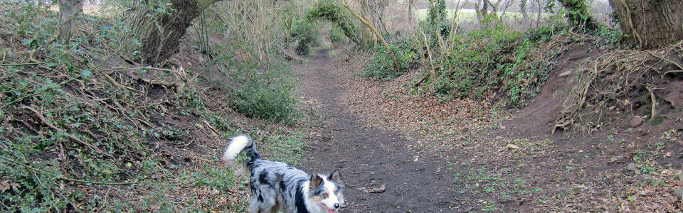 Parkgate walk WEB